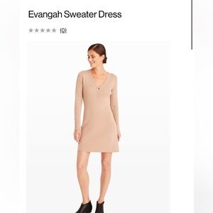 Club Monaco knit mini dress - XS